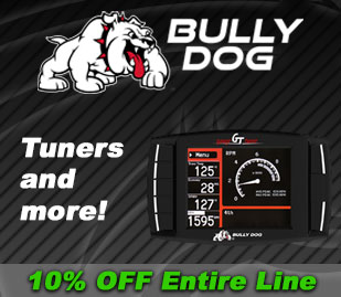 bully-dog-featured-sale