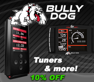 bully-dog-featured3