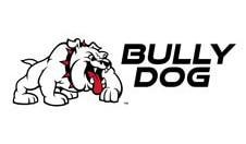 bully-dog-logo-featured