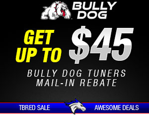 bully-dog-rebate-2021-sliders-holiday