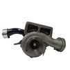 bully-dog-57506-2