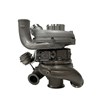 bully-dog-57507-3