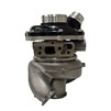 bully-dog-57508-4