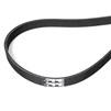 ppe-113061369-1
