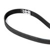 ppe-113061369-2