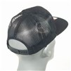 thoroughbred-500029-3