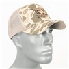 thoroughbred-500030-1