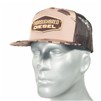 thoroughbred-500031-1
