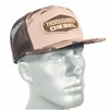thoroughbred-500031-2