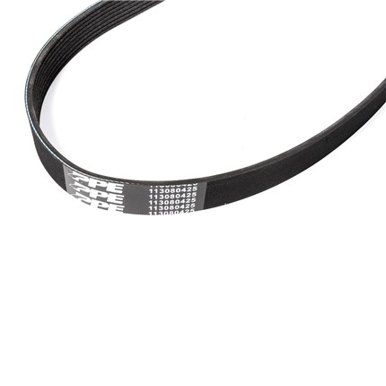 113080425_SerpBelt7_72dpi_1200x