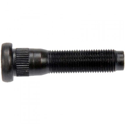 610-558_Dorman_2022_1_600x600