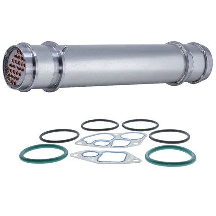 BC8102735_ANG__64369.1716471135