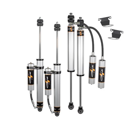 Carli-Suspension-AS-DLVLSPKG-CS20RR-A-1