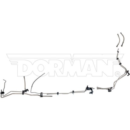 dorman-919-845-1