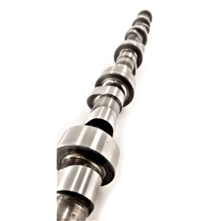 hamiltoncams-07-c-174-204-105-5-1