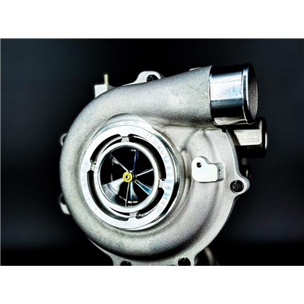 IMG_6530_71cb6d69-cd54-42f6-a05a-376bc0863f9e