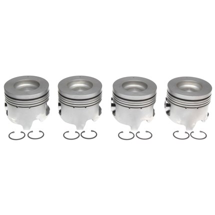 mahle-224-3451-020-1