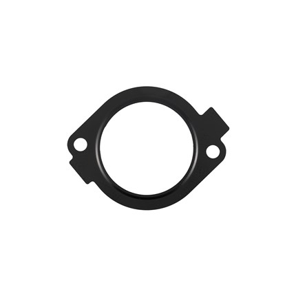 PPE115075308_1_2500x