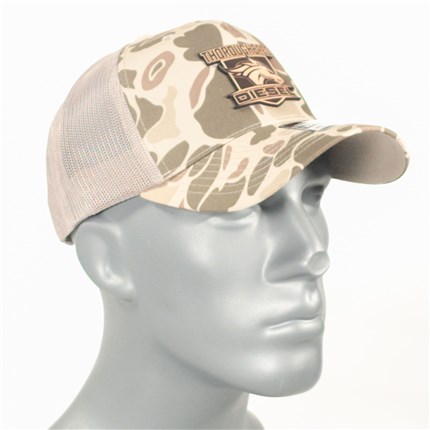 thoroughbred-500030-1