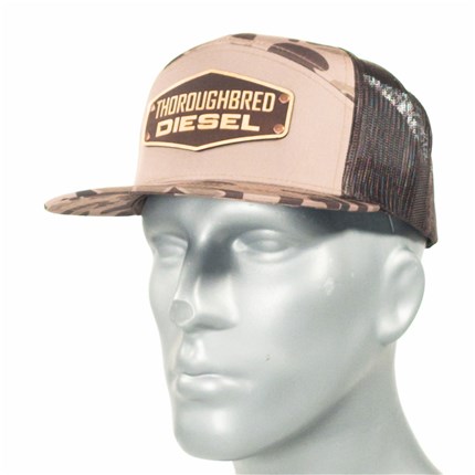thoroughbred-500031-1