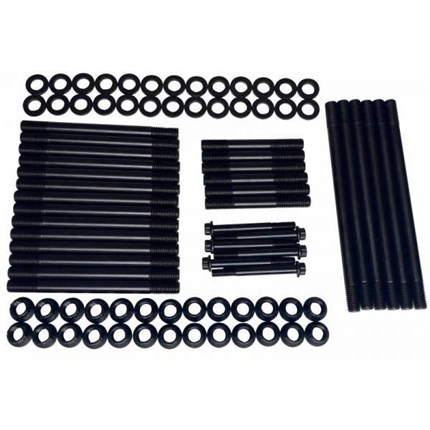 thoroughbred-fhsc8998-1