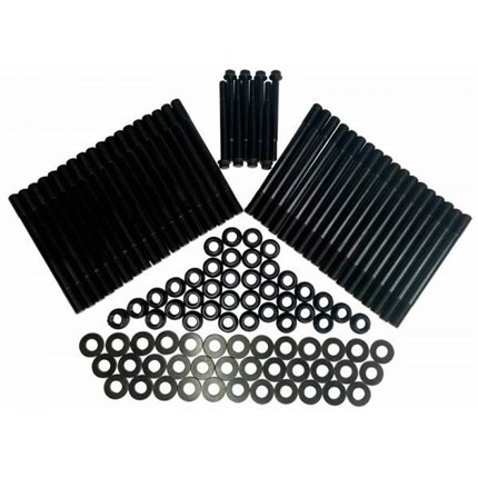 thoroughbred-fhsd0116-1