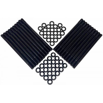 thoroughbred-fhsp0310-1