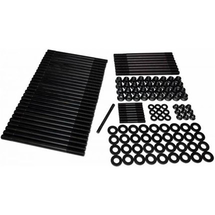 thoroughbred-fhsp1121-1