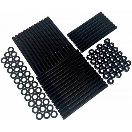 thoroughbred-fhsp9403-1