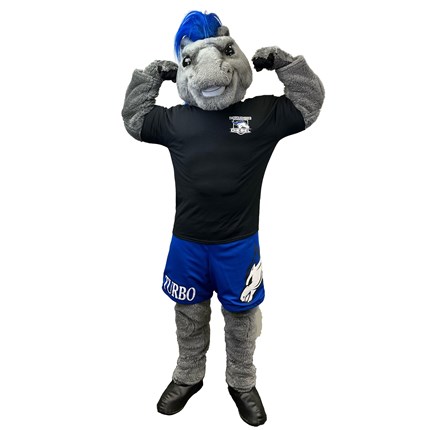 thoroughbred-tdp100041-1