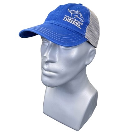 thoroughbred-tdp500024-1