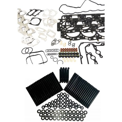 thoroughbred-tdptegkwsch0710-1