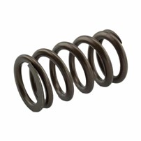 Industrial Injection Performance Valve Springs