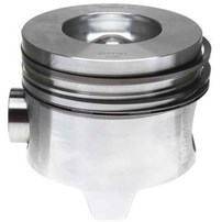 MAHLE Piston With Rings