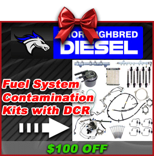 thoroughbred-dcr-sale-featured-brands-xmas