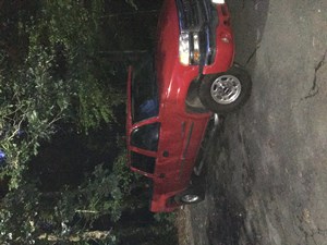 91C84FD7-E681-473D-BE96-ADC764926AD8