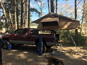 A61DE056-E28C-480F-BE79-C13D359DF0E1