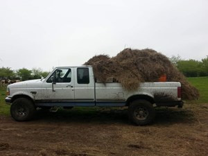 FB_IMG_1573100223687