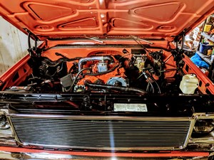 MVIMG_20190407_134535