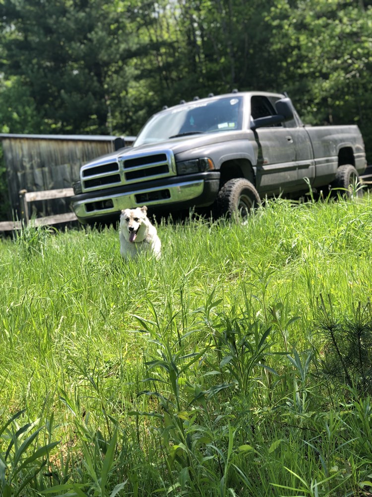 6A5D4BD2-5774-4674-8F02-FE8368D8604B