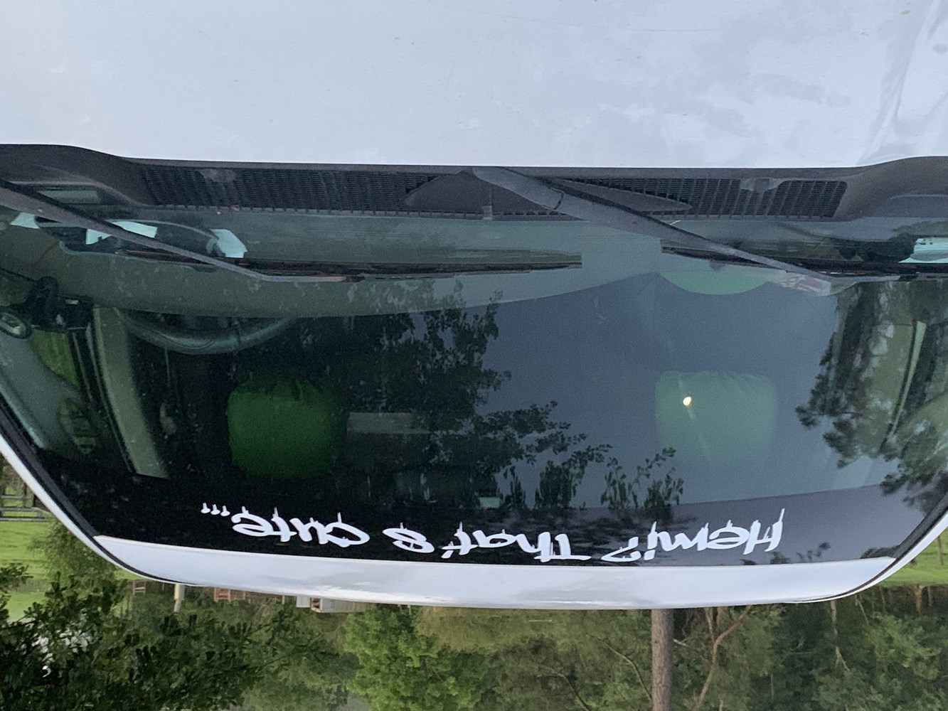 E0661895-CCEF-4AC5-BAD3-75E674CEACF6