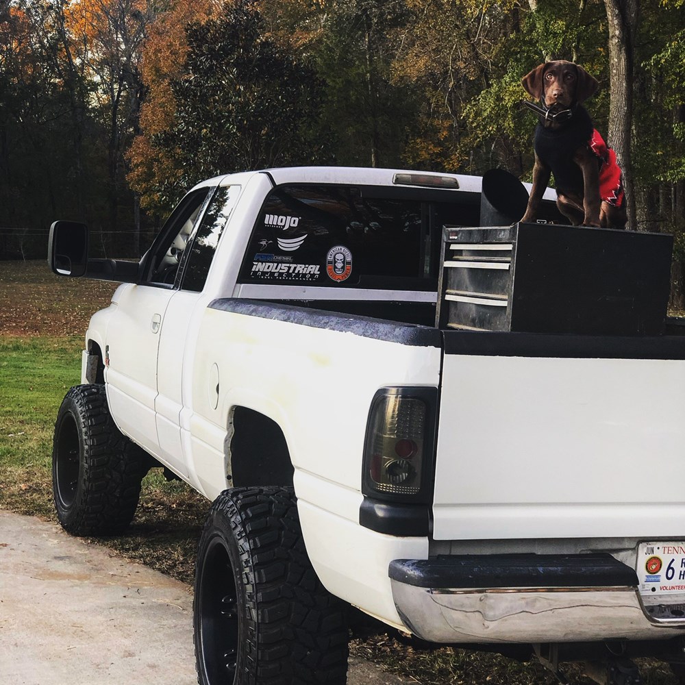 EDABAD7B-072C-40C9-8CCB-CF874E9C96E8