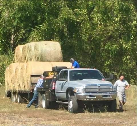 FB_IMG_1541225896735