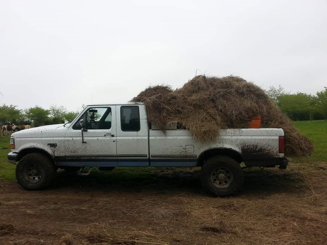 FB_IMG_1573100223687