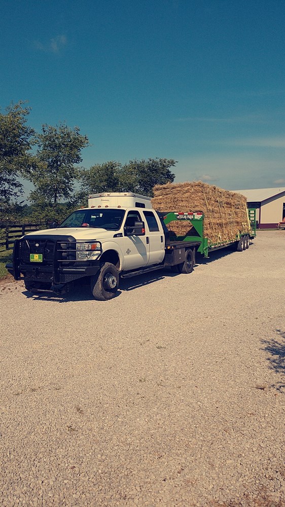 inbound1012288698089113423