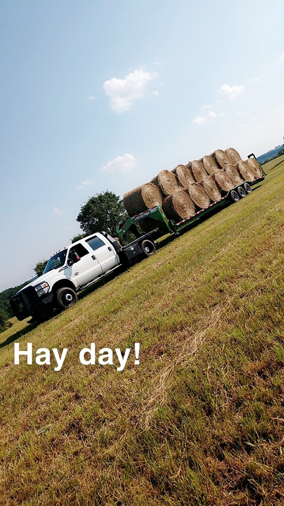 inbound3490572291044685157