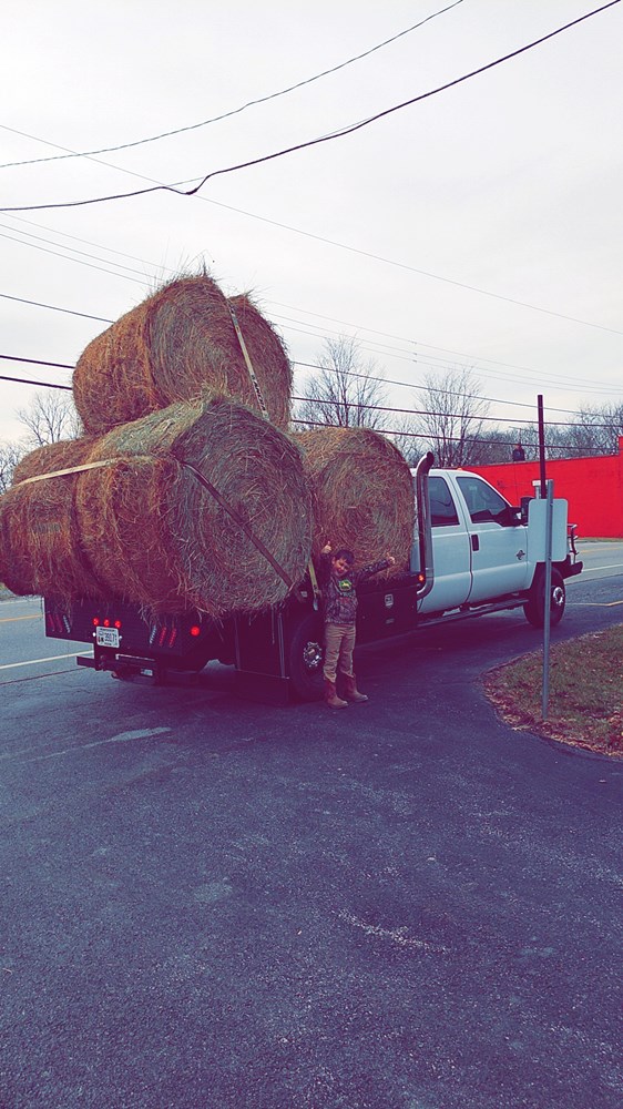 inbound760055231779634707